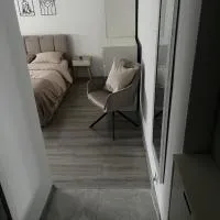 Apartament na Warynskiego，位于奥斯特罗维茨的酒店
