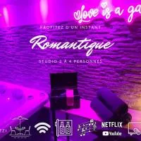 Studio élégant l'orchidée Jacuzzi en intérieur toute l'année，位于瑞维尼亚克的酒店