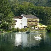 雷斯登斯酒店，位于巴特贝特里希的酒店