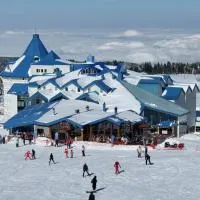 Bof Hotels Uludağ Ski&Luxury Resort All Inclusive，位于乌鲁达的酒店