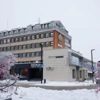 Dzūkija Hotel，位于阿利图斯的酒店