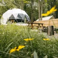Ferncrest Campground，位于Greentown的酒店