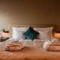Clarion Hotel Aviapolis，位于万塔赫尔辛基万塔机场 - HEL附近的酒店
