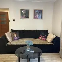 Studio w centrum，位于图雷克的酒店