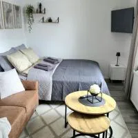 Cozy studio in the heart of the city，位于哈米纳的酒店