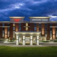 SpringHill Suites by Marriott Canfield，位于Canfield的酒店