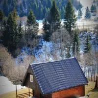 Mountain House Jelovica，位于贝拉内的酒店