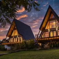 Arta Chalet - A-Frame Cabins & Nature Retreat,位于Ceptura de Jos的酒店