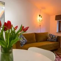 Apartamenty Centrum Biskupiec，位于比斯库佩茨的酒店