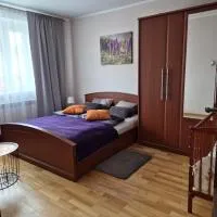 Apartament nad Nidą，位于Sobków的酒店