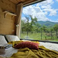 Retezat83 Sunshine tiny home , adults only，位于莫里河乡的酒店