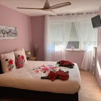 Gîte Vignoble avec jardin proximité Europa-Park,位于Diebolsheim的酒店