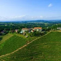das kappel wein gut hotel，位于绍萨尔地区基策克的酒店