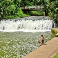 Malanda Falls Retreat，位于Malanda的酒店