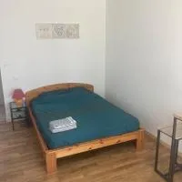 Studio indépendant rénové avec jardin，位于Visseiche的酒店