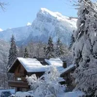 Au rêve savoyard 2 - 4 personnes，位于莫里永的酒店
