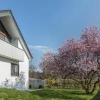 Haus Hasenweide，位于Scheinbuch的酒店