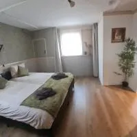 de Tweelingen，位于Schoonloo的酒店