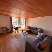 Appartement Rosa au coeur des 4 Vallées，位于Conthey的酒店