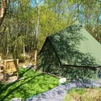 Green woodland bell tent，位于Ynys Station的酒店