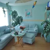 Puikus apartamentai，位于阿利图斯的酒店