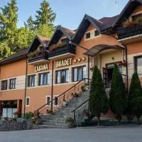 Pensiune Cabana Bradet，位于Şimleu Silvaniei的酒店