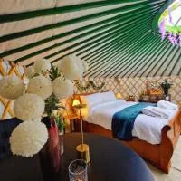 Edwards Farm Glamping Shaftesbury，位于沙夫茨伯里的酒店