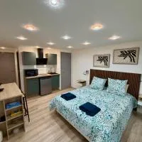 Studio 2 neuf RDC hyper centre-ville，位于巴勒迪克的酒店