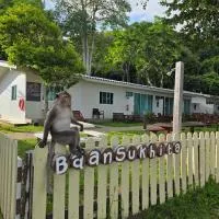 Baansukhita，位于林信的酒店