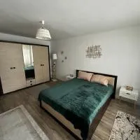 Dragasani Cozy Apartament，位于Drăgăşani的酒店