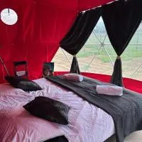Glamping Izerska Bajka，位于Mirsk的酒店