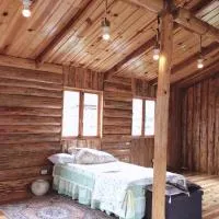 Agape Log Cabin，位于萨加达的酒店