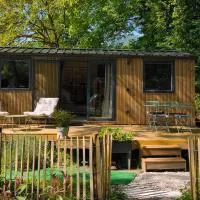 Tiny House ALPEA,位于Fillinges的酒店