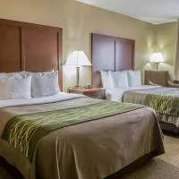 Comfort Inn Morris I-80，位于Morris的酒店