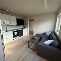 Discover Lofoten from this cosy apartment!，位于Vestvågøya的酒店