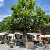 Gasthof Tenne - Ferie mit Härz，位于伦克的酒店