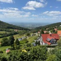Berghof Grüner Baum，位于萨巴赫瓦登的酒店