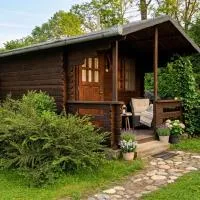 Bungalow Camping Edelweiss - Floare de colt - Gyopár，位于里梅泰亚的酒店