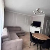 Family Apartment，位于奥尔什蒂内克的酒店