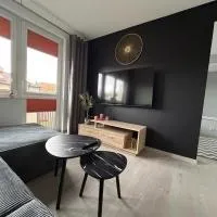 Apartament Staropijarska，位于武库夫的酒店