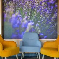 Mercure Medias Binderbubi Hotel And Spa，位于梅迪亚什的酒店