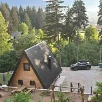 Vikendica Villa Marija Pale，位于帕莱的酒店