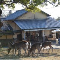 鹿园酒店 ，位于奈良奈良公园的酒店