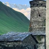 Nizharadze's Tower，位于乌树故里的酒店