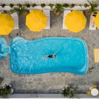Sunnymead Hotel，位于爱丽丝湾的酒店