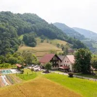 FarmStay Zelinc,位于采尔克诺的酒店