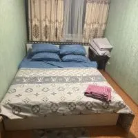 Квартира напротив аэропорта Алматы,位于阿拉木图的酒店