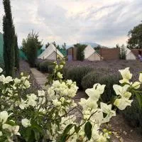 Glamping Rincón de Lavanda,位于Texcoco de Mora的酒店