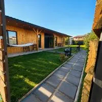 MR Tiny House - Private Parking,位于Roşu的酒店
