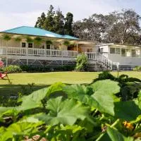 Aloha Junction Bed and Breakfast -Minutes away from Hawaii Volcanoes National Park，位于沃尔卡诺的酒店